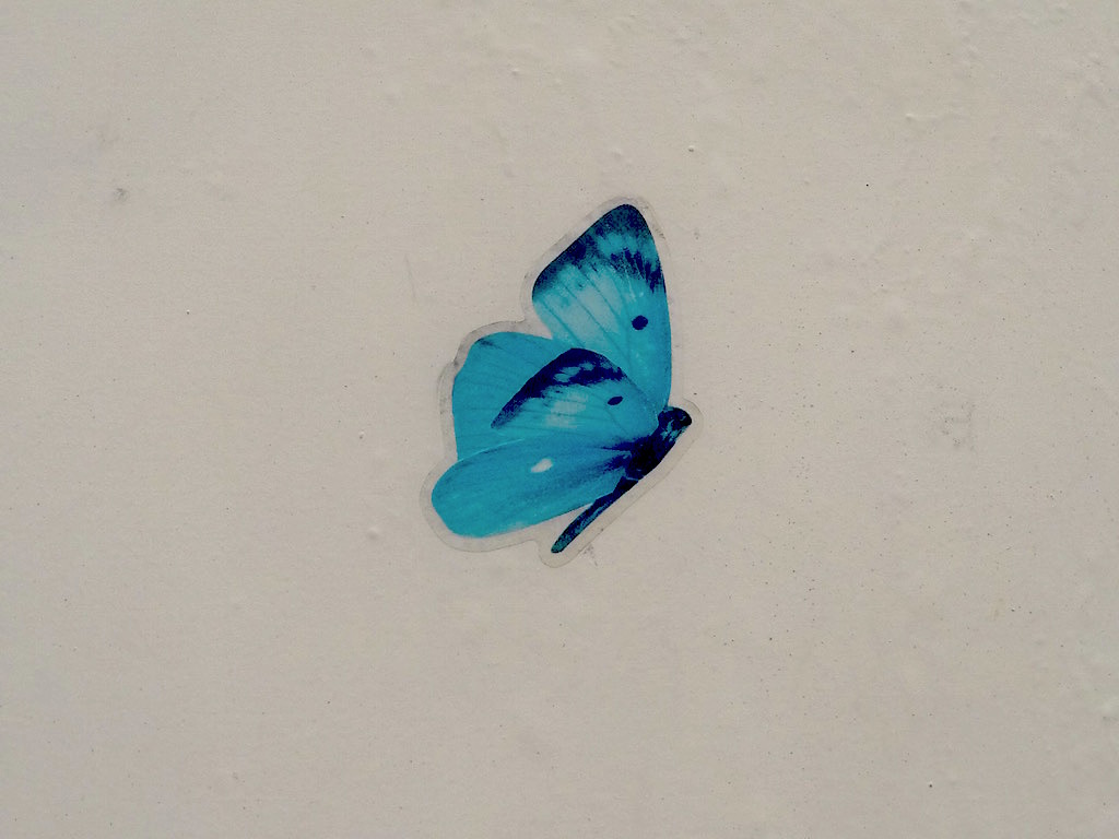 decalque de borboleta no muro